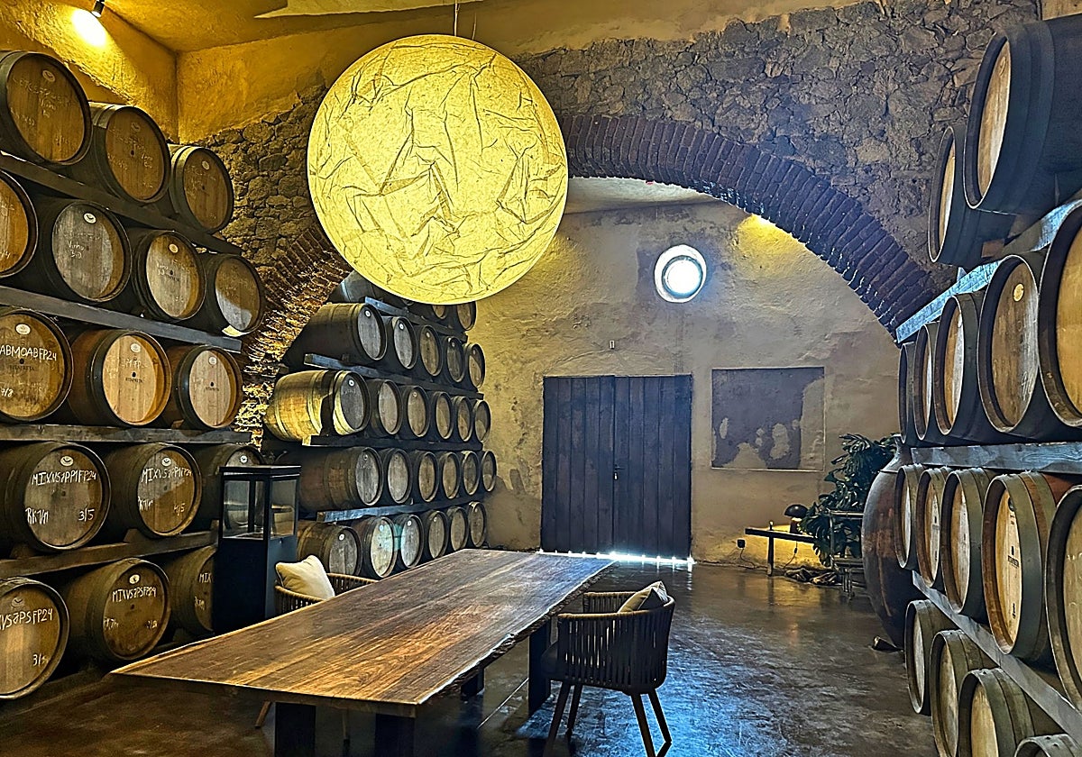 Las bodegas españolas: una tormenta económica con sabor amargo