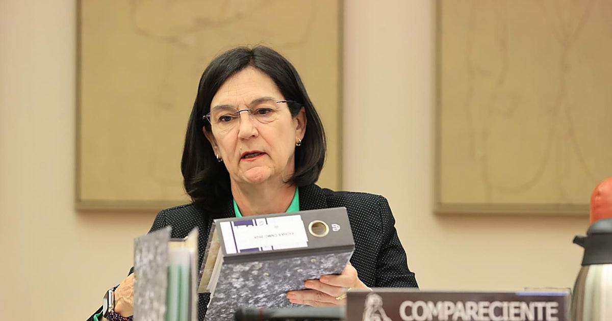 La CNMC investiga prácticas anticompetitivas de una empresa energética y registra sus oficinas