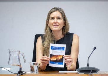 El Gobierno recibe el Ok de Bruselas para activar el plan antiapagones con pagos de 9.000 millones a las eléctricas