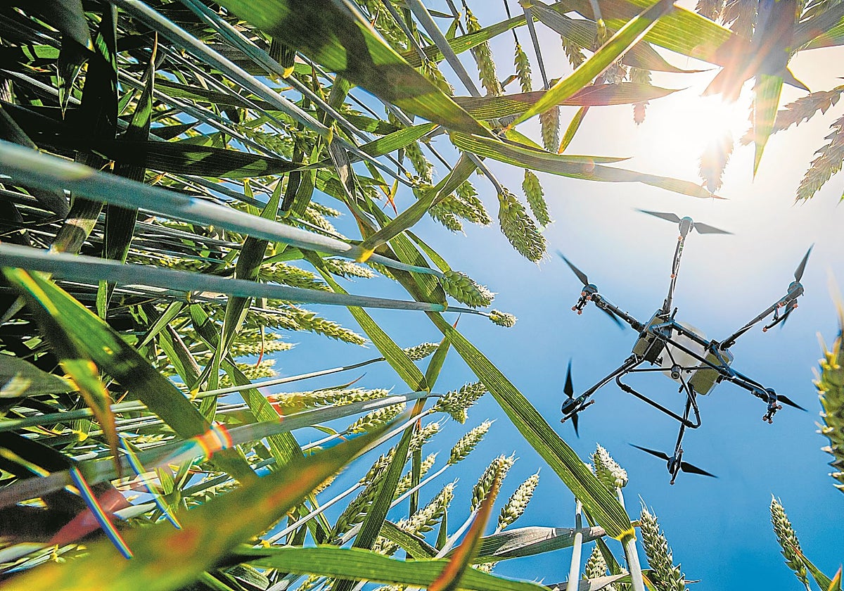 Los drones son un ejemplo del uso dual de la tecnología militar