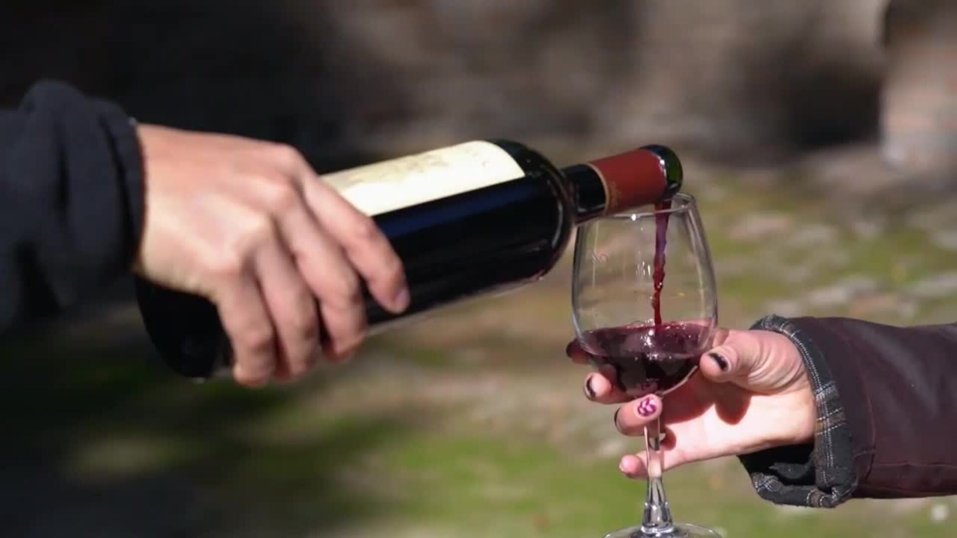 Vino sin alcohol y enoturismo, la apuesta de Chile para enfrentar caída global del consumo