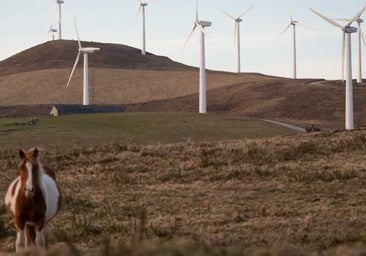 El Ibex energético controla la mitad de los molinos de viento como arma para operaciones empresariales