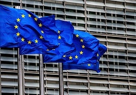 Bruselas investiga si España concedió una ayuda ilegal al indemnizar al grupo japonés JGC Holdings