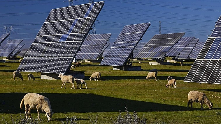 España batirá este verano el récord de energía renovable tirada a la basura