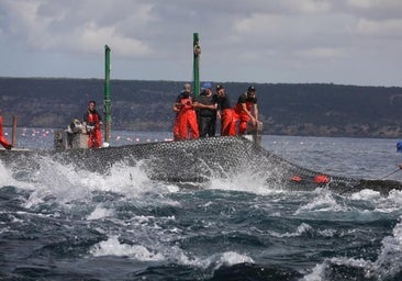 Agricultura abre un cisma por la captura fortuita del atún rojo entre pescadores grandes y pequeños