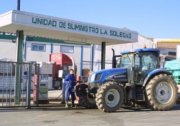 El IPC se dispara al 3,6% en julio, una décima más de lo previsto, y el Gobierno frena la retirada de las ayudas al gasóleo
