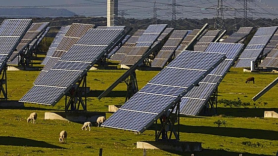 El campo carga contra el exceso de paneles solares mientras se tira energía renovable a la basura