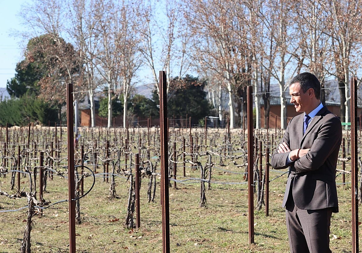 Menos de media hectárea es el tamaño medio de las 17.000 fincas que Sánchez anunció para jóvenes agricultores