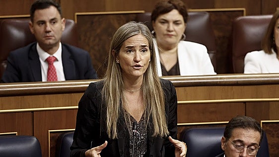 El Gobierno eleva la inversión en redes eléctricas a 17.000 millones en 2030