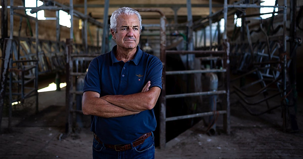 Cómo la industria láctea hundió la ganadería: «Pactaban los precios; y si te querías ir, nadie te recogía la leche»