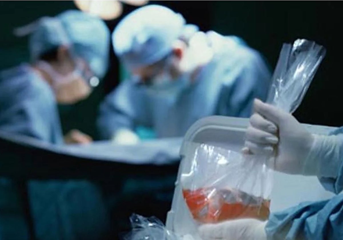 Sueldo al 100% por donar órganos: todo lo que tienes que saber sobre esta baja