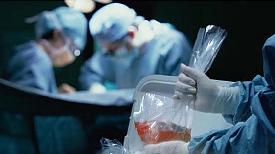 Sueldo al 100% por donar órganos: todo lo que tienes que saber sobre esta baja