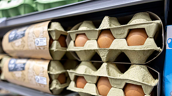 El precio de los huevos a partir de hoy en los supermercados: de Mercadona a El Corte Inglés, Carrefour, Alcampo o DIA