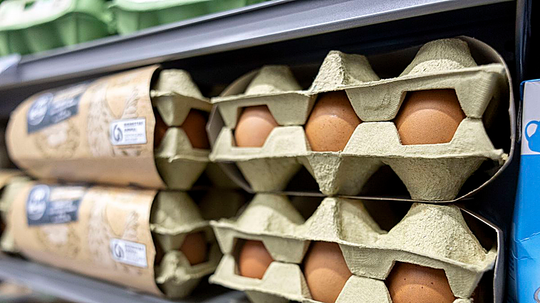El precio de los huevos a partir de hoy en los supermercados: de Mercadona a El Corte Inglés, Carrefour, Alcampo o DIA