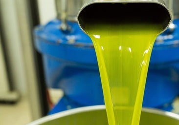 El sector del aceite de oliva acelera su 'revolución fría'