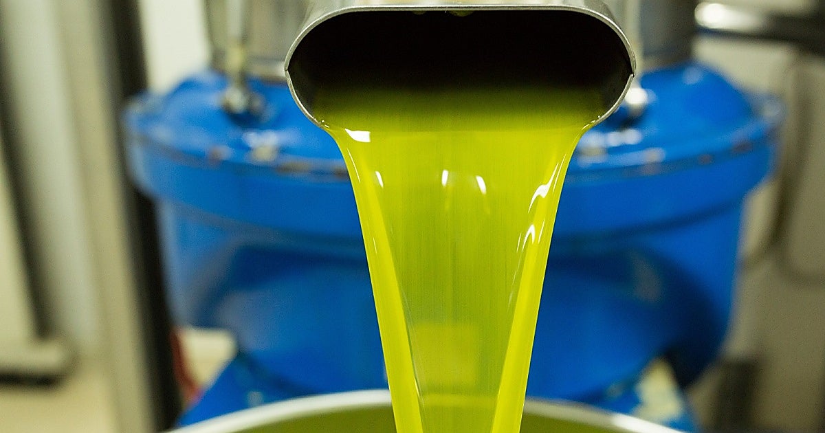 El sector del aceite de oliva acelera su  revolución fría 