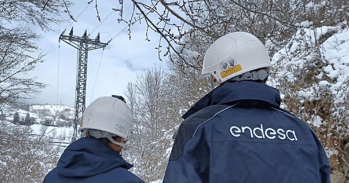 Endesa dispara sus beneficios un 15% gracias a las redes.