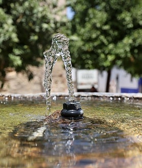 Imagen secundaria 2 - Plazas de Córdoba que tienen ornamentales