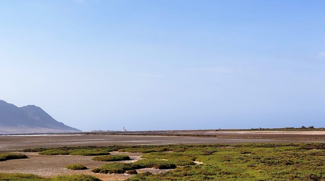 La Junta pide a Unión Salinera que solucione la avería para recuperar el humedal artificial en las Salinas de Cabo de Gata