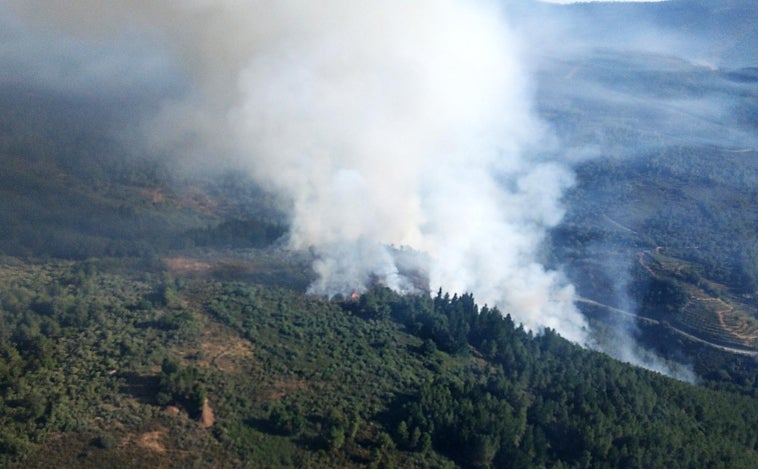 Un incendio forestal en Villanueva del Conde (Salamanca) alcanza el nivel 1