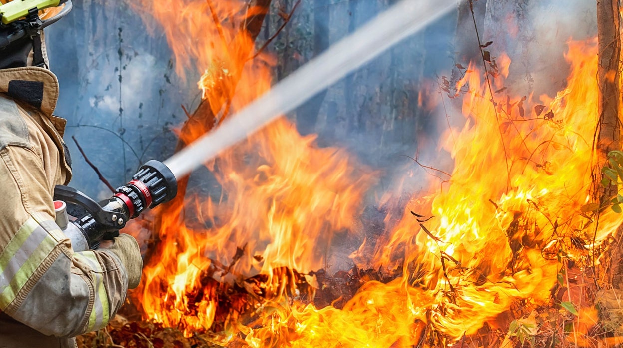 Casi toda Andalucía está en riesgo extremo de incendio forestal