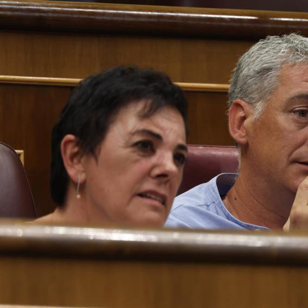 La ley de Memoria pactada por el PSOE con los radicales no cita ni una vez al terrorismo