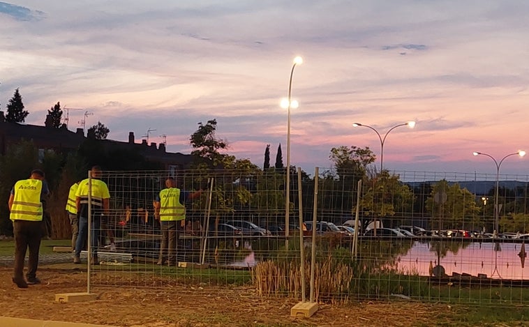 Los patos y ocas de la rotonda del Polígono, trasladados al río en la noche del martes