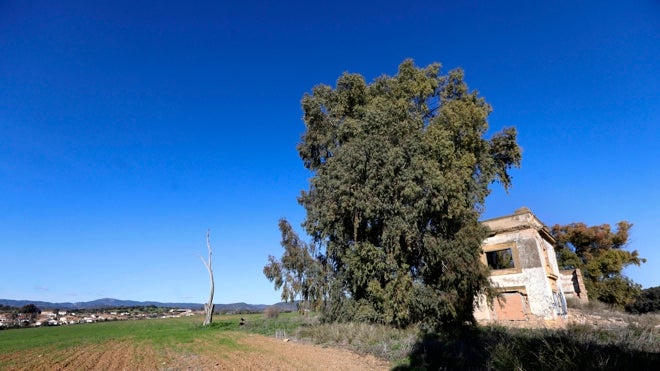 Antigua casa de la finca de Lagartijo