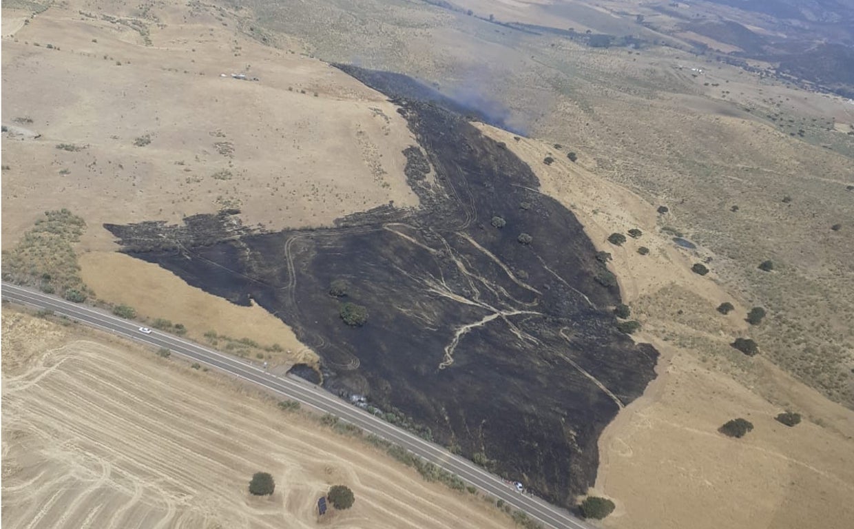 Imagen de la superficie calcinada