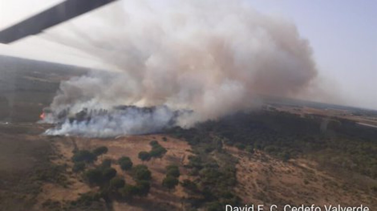 Extinguido el incendio forestal en Lucena del Puerto