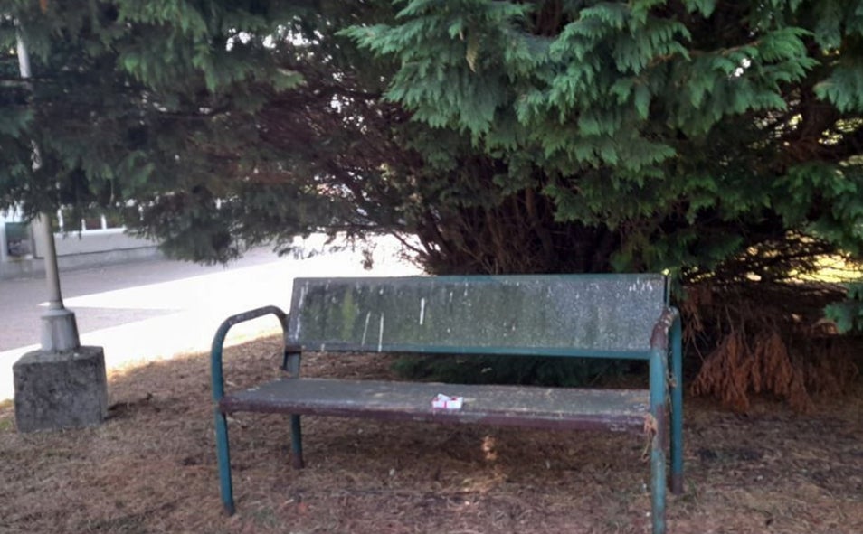 Imagen principal - Instantáneas de las obsoletas instalaciones del CAMF ferrolano. Un ascensor no funciona, un banco del parque acumula décadas a sus espaldas y si se busca a la trabajadora social, «no hay durante unos días»