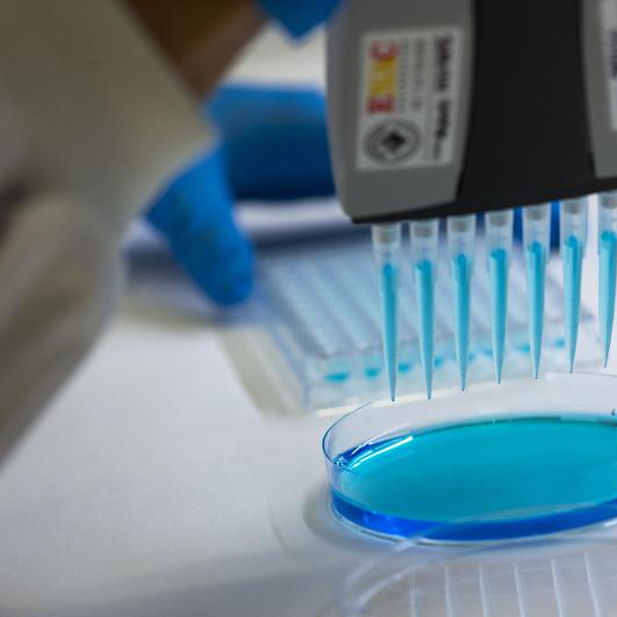 La vacuna de Hipra contra el Covid-19 muestra eficacia contra las subvariantes de ómicron