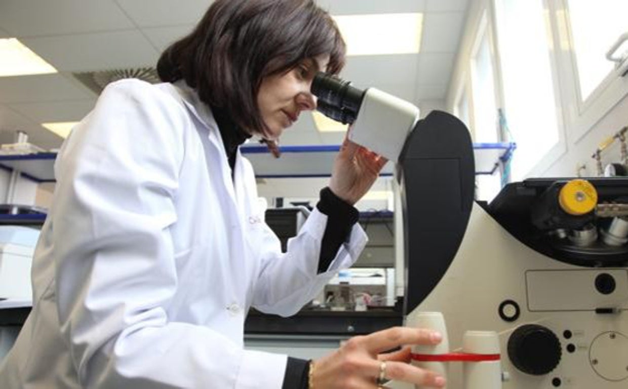 Imagen de archivo del trabajo en un laboratorio