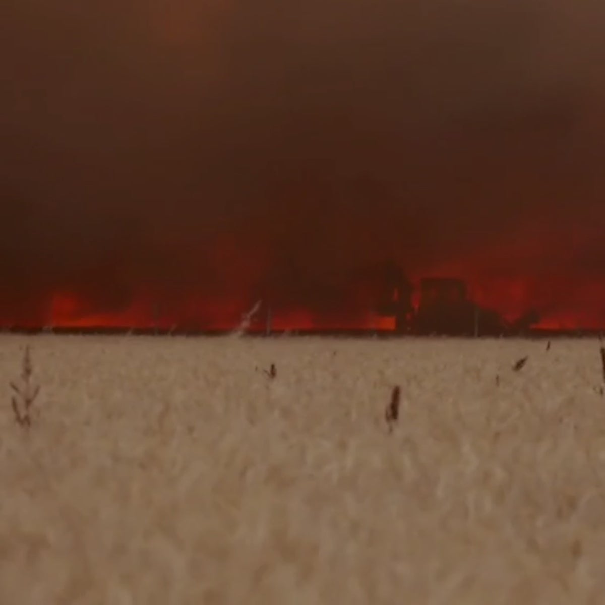 Elogios al 'héroe de Tábara': «Se ha jugado la vida por salvar el pueblo»