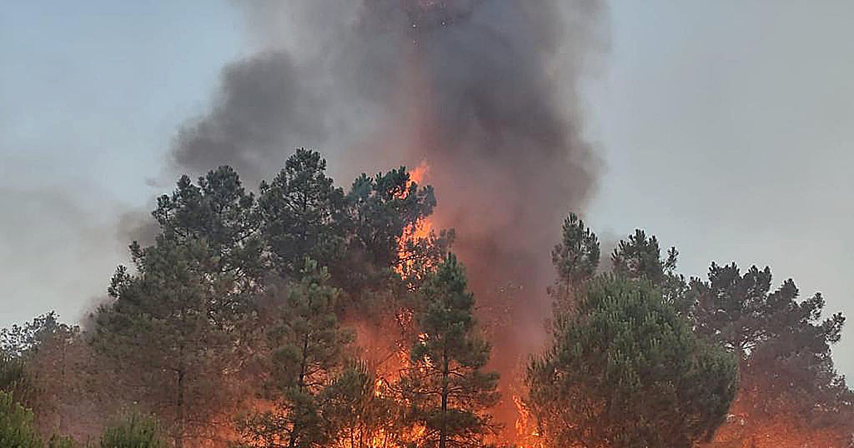 Llamas en el incendio de Cebreros, en Ávila