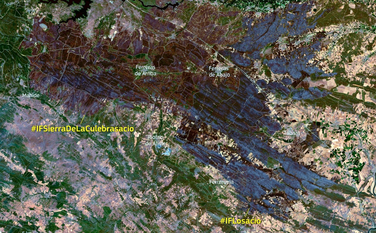 Imagen del satélite Sentinel 2 de la huella dejada por los incendios en la sierra de la Culebra y Losacio, en la provincia de Zamora