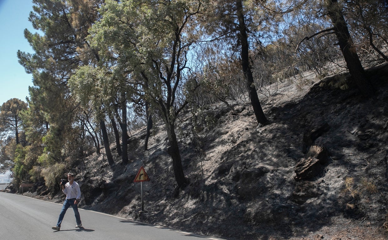 Zona calcinada por las llamas en la Sierra de Córdoba