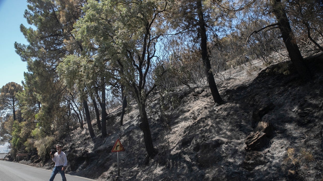 Incendio en la Sierra de Córdoba | «Pasamos mucha tensión y llegamos a pensar en una posible evacuación»