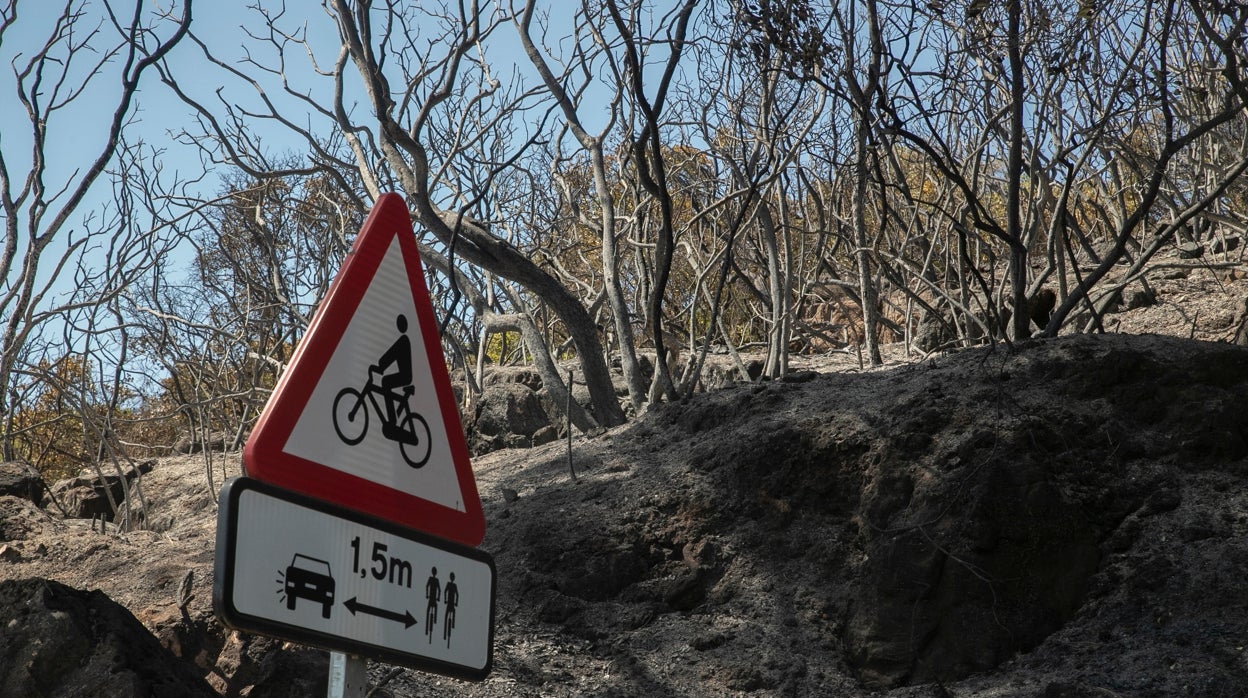En imágenes, así ha quedado la Sierra de Córdoba tras el incendio forestal del miércoles