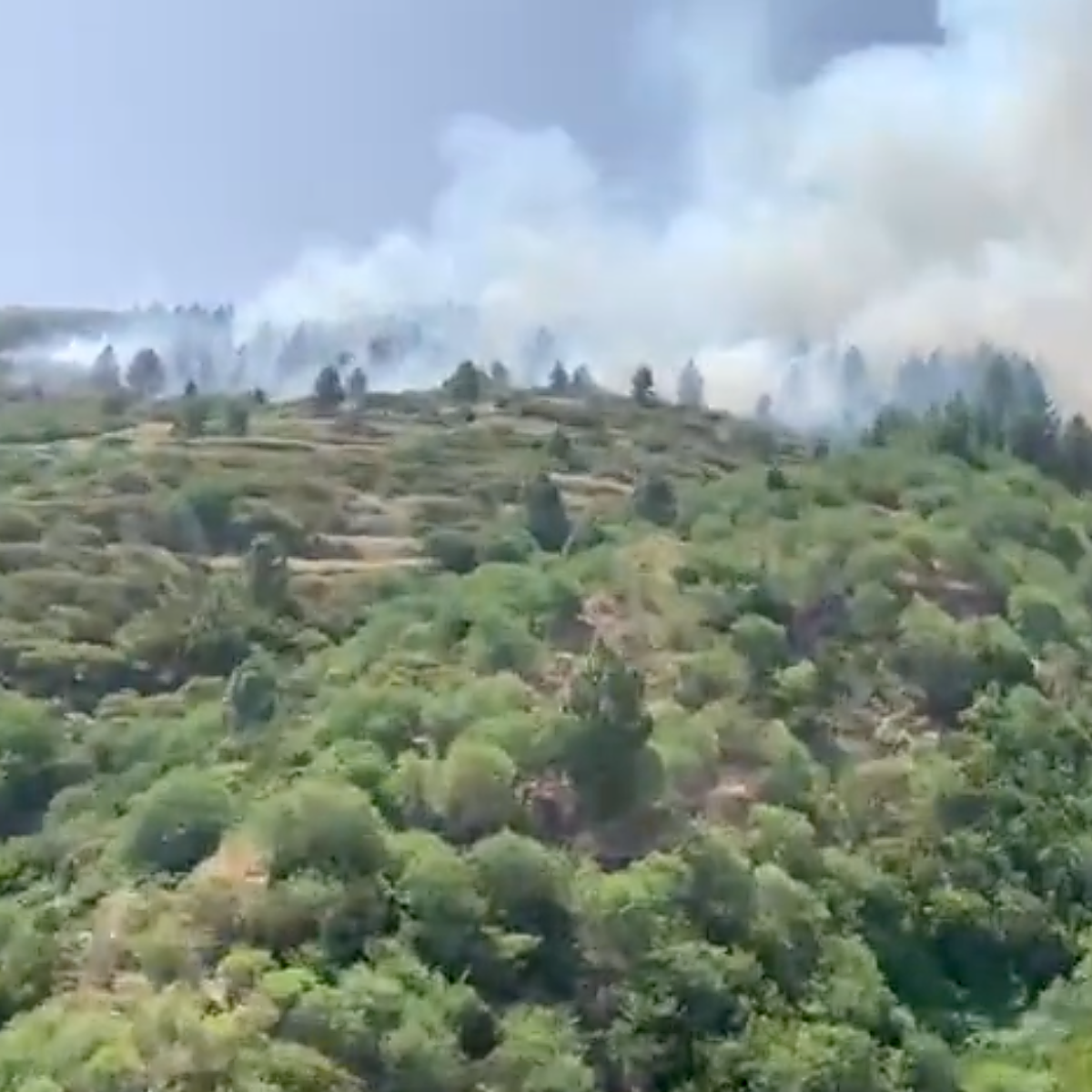 Incendio forestal en Los Realejos (Tenerife) con gran potencial