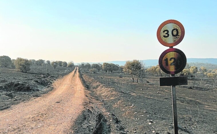 Las temperaturas y el viento permiten avanzar en la extinción de los fuegos que azotan Castilla y León