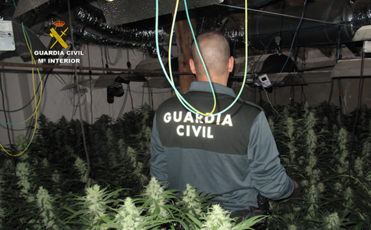 Un guardia civil en la intervención de una plantación de marihuana, en una imagen de archivo