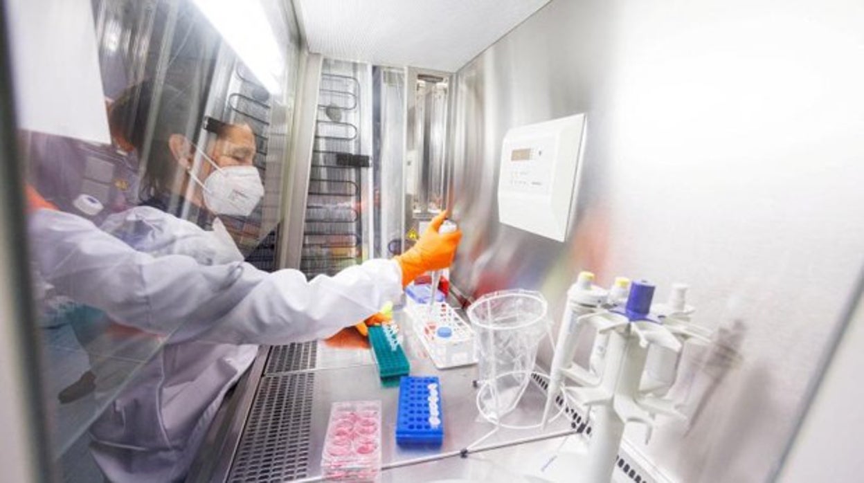 Andalucía roza los 300 casos de viruela del mono, el 70 por ciento en Málaga y Sevilla