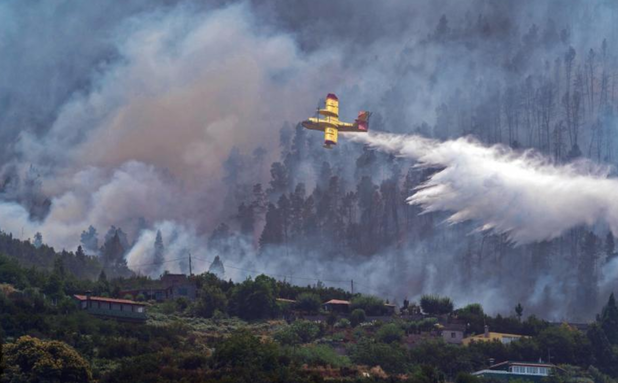 Combate contrarreloj contra el incendio de Los Realejos, que alcanza otro municipio