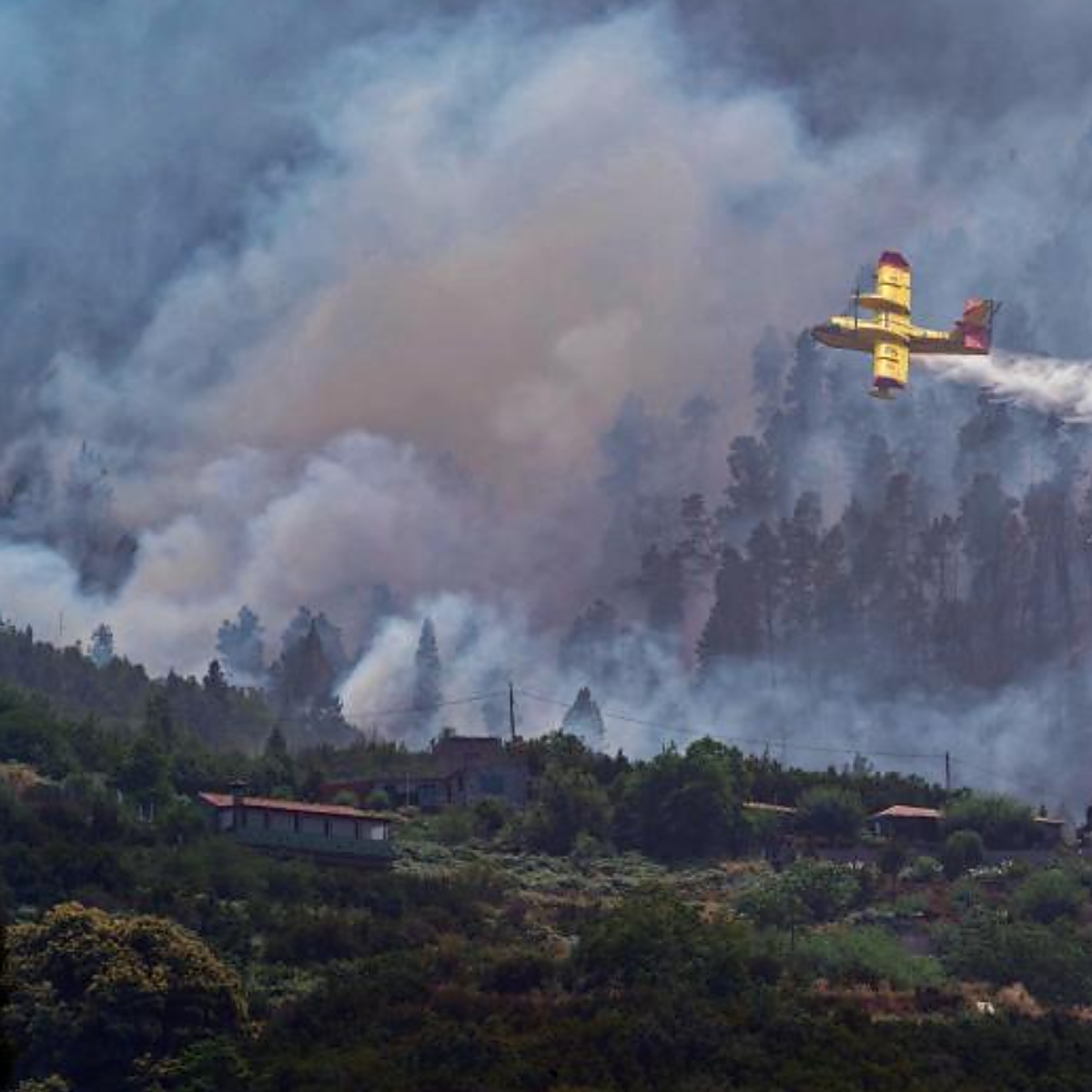 Combate contrarreloj contra el incendio de Los Realejos, que alcanza otro municipio
