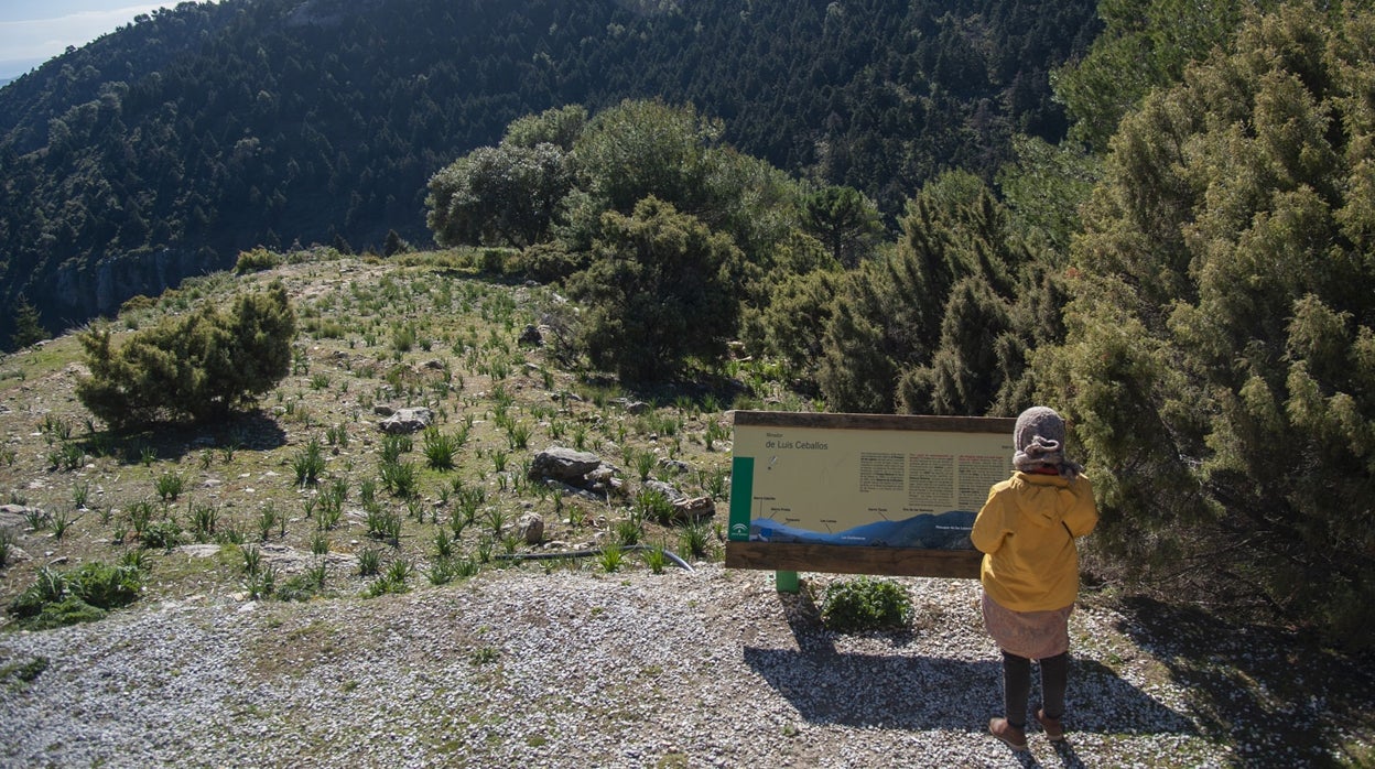 Sierra de las Nieves de Málaga, un año en la cima