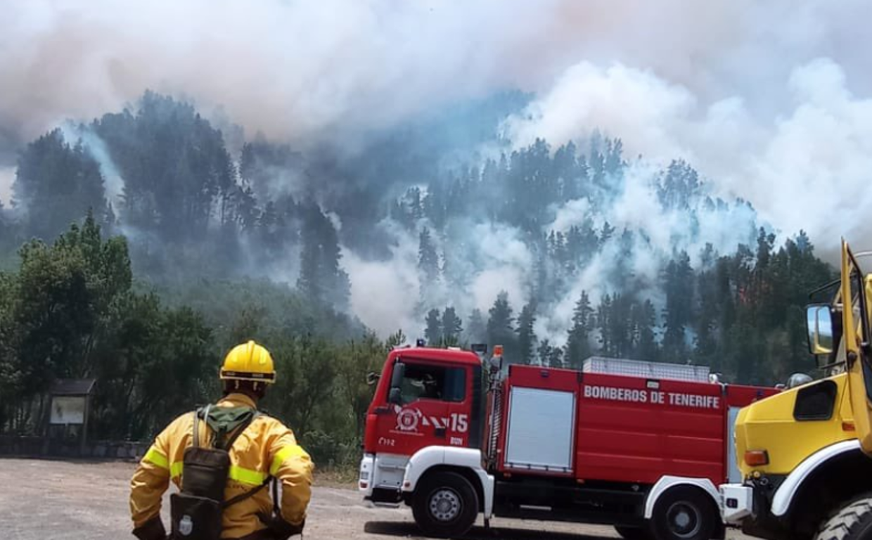 Efectivos en la zona de Las Llanadas