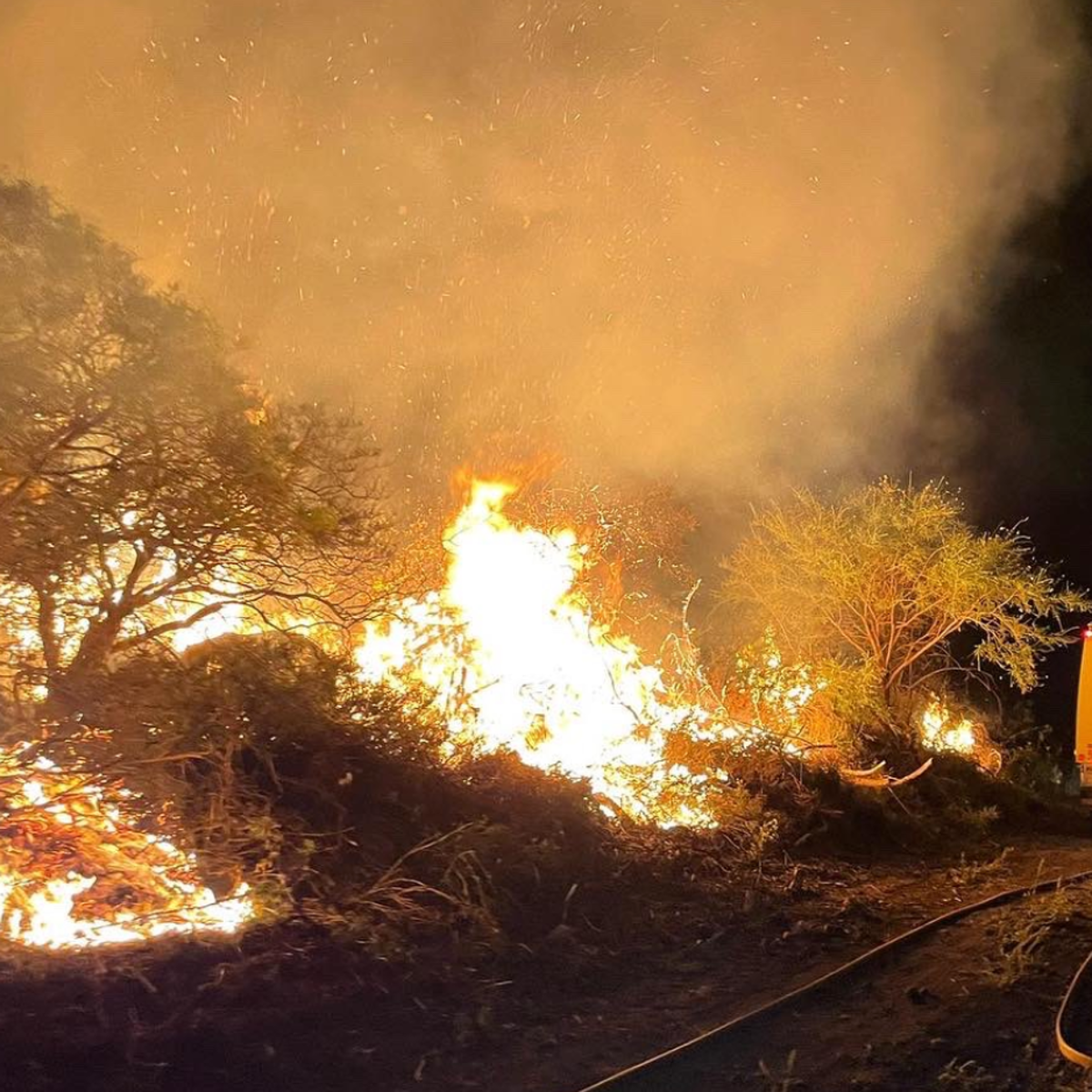 El incendio de Los Realejos «camina hacia su control»