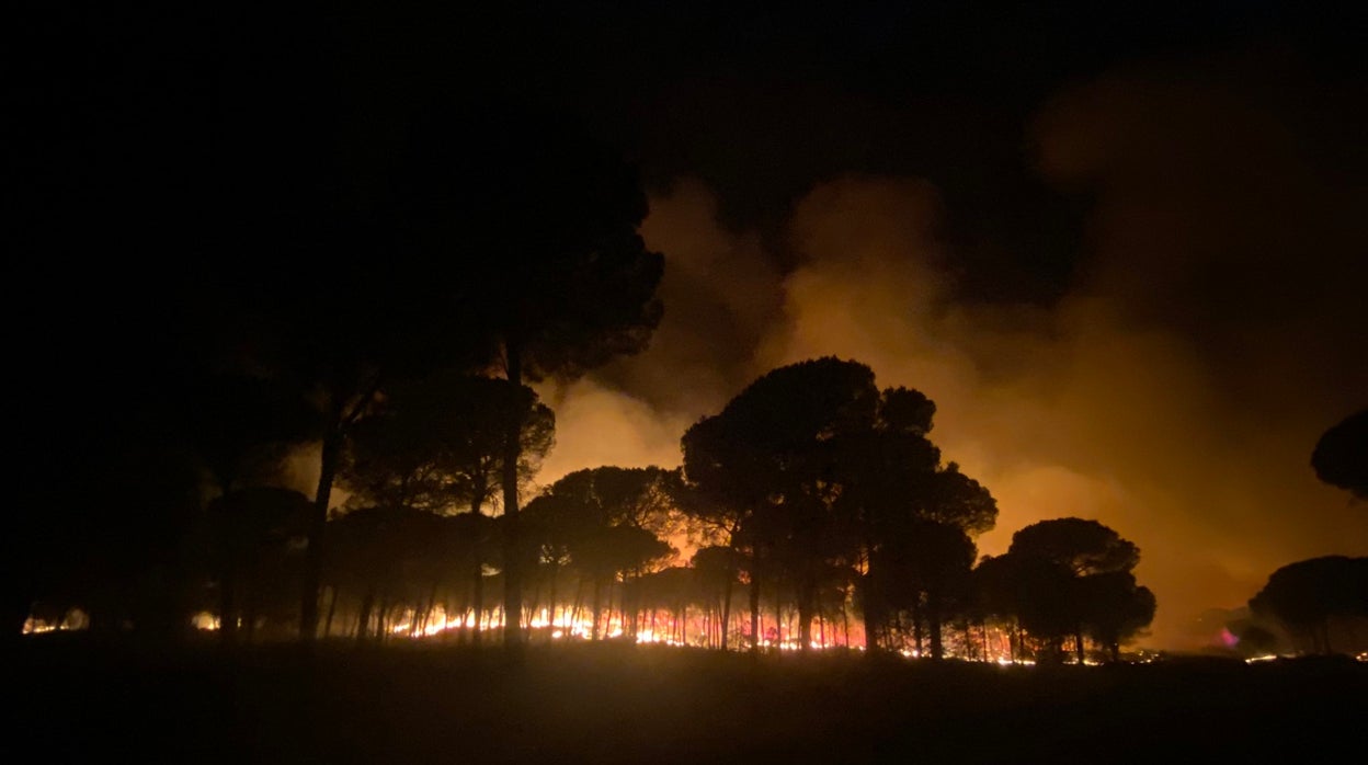 Desalojadas 220 viviendas en Almonte por el incendio forestal de Bonares