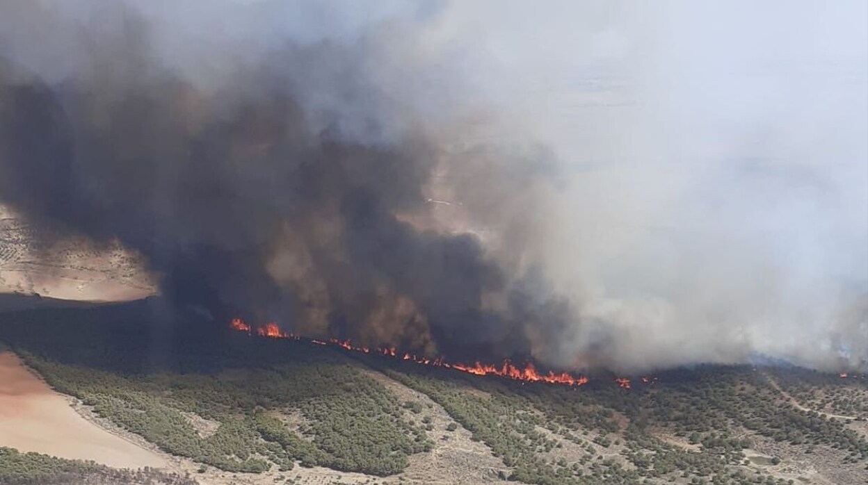 Nuevo incendio forestal en Belalcázar en la zona donde ardieron más de 1.200 hectáreas
